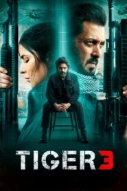 Tiger 3 Full Movie Watch Online And Download
