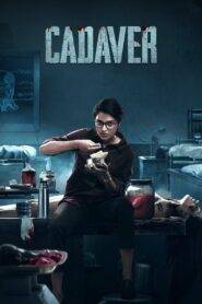 Cadaver Full Movie In Hindi Dubbed Watch Online And Download