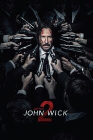 John Wick: Chapter 2 (Hindi Dubbed – Hollywood Movie) Watch Online And Download