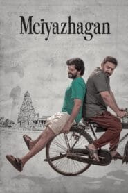 Meiyazhagan (Dual Audio – Hindi Dubbed) Watch Online And Download
