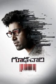 Goodachari (Hindi Dubbed – Bollywood Movie) Watch Online And Download