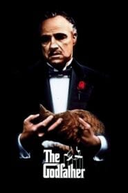 The Godfather 1972 (Dual Audio Hindi-English) Watch Online And Download “BluRay”