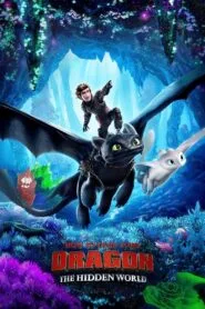 How to Train Your Dragon: The Hidden World 2019 (Dual Audio Hindi-English) Watch Online And Download “BluRay”