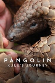 Pangolin: Kulu’s Journey 2025 (Dual Audio Hindi-English – Hollywood Movie) Watch Online And Download “BluRay”