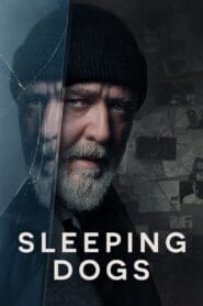Sleeping Dogs 2024 (Dual Audio Hindi-English) Watch Online And Download “WEB-DL”