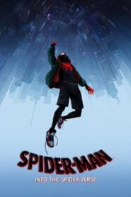 Spider-Man: Into the Spider-Verse 2018 (Dual Audio Hindi Dubbed) Watch Online And Download