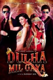 Dulha Mil Gaya 2010 (Hindi) Watch online and Download “BluRay”