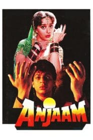 Anjaam 1994 (Hindi) Watch Online And Download “WEB-DL”